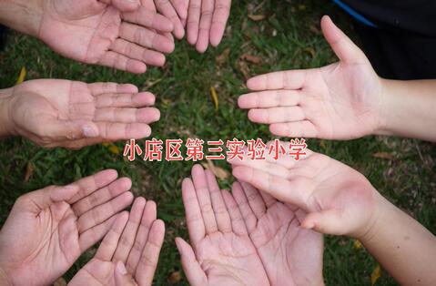 同心抗疫，太原這所小學(xué)師生愛心援助湖北